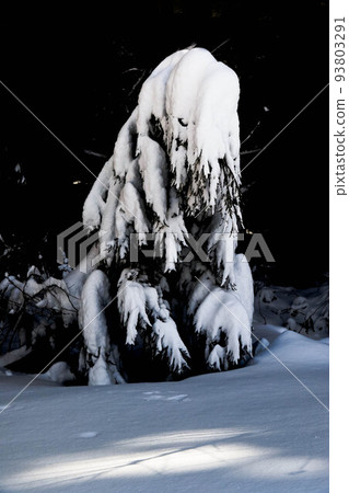 little monster 93803291