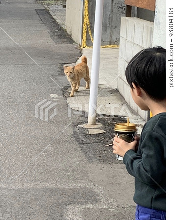 跟隨的貓 93804183