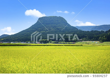 龜須盆地稻田和山。 93804237