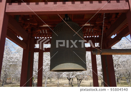 立科山正光寺是著名的賞櫻勝地,可以看到“本州最慢的染井吉野櫻花樹”。 立科山正光寺是著名的賞櫻勝地,可以看到“本州最慢的染井吉野櫻花樹”。 93804540