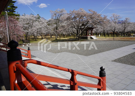 立科山正光寺是著名的賞櫻勝地，可以看到“本州最慢的染井吉野櫻花樹”。 93804583