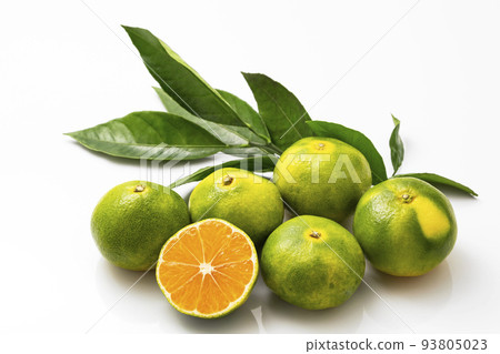 White-backed very early mandarin orange sliced into rounds 93805023