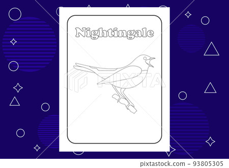 Bird coloring page or books for kids. Vector illustration 93805305