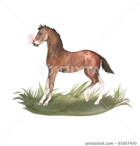 Watercolor illustration of bay foal standing in green grass with pink butterfly 93807450