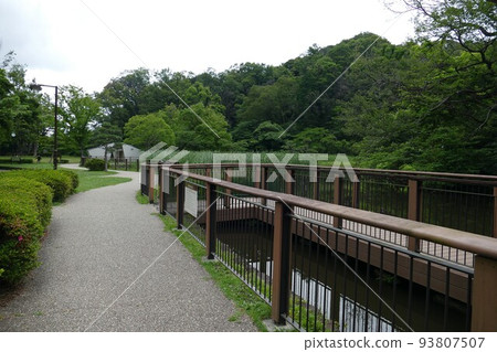 倉木公園港南區到磯子區,橫濱市,池塘,步行道,樹林,2021年5月 倉木公園港南區到磯子區,橫濱市,池塘,步行道,樹林,2021年5月 93807507