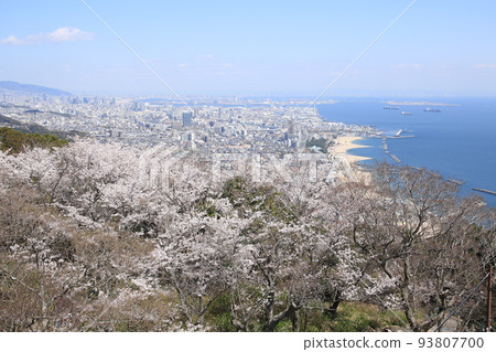Sumiura Park 93807700