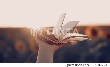 Woman flips through pages of old paper book on sunset background in sunflowers field. Aesthetics Woman flips through pages of old paper book on sunset background in sunflowers field. Aesthetics 93807721