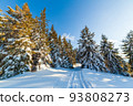 Wonderful wintery Scenery in sunny day. Winter landscape with snow capped mountain under sunlight. Popular hiking and travel place. Winter wonderland. stunning nature background. Carpathian mountains. 93808273