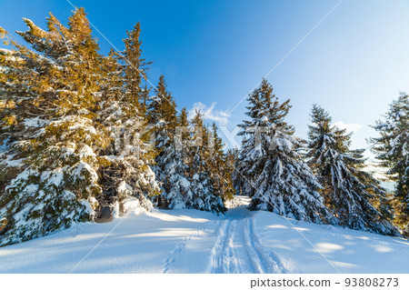 Wonderful wintery Scenery in sunny day. Winter landscape with snow capped mountain under sunlight. Popular hiking and travel place. Winter wonderland. stunning nature background. Carpathian mountains. Wonderful wintery Scenery in sunny day. Winter landscape with snow capped mountain under sunlight. Popular hiking and travel place. Winter wonderland. stunning nature background. Carpathian mountains. 93808273