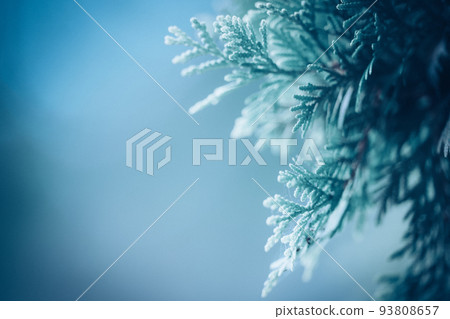 fantasy tree fantasy tree 93808657