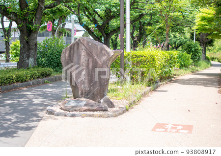 Mizumoto Park Mizumoto Inner Reservoir Waterside Road / Katsushika Ward, Tokyo Mizumoto Park Mizumoto Inner Reservoir Waterside Road / Katsushika Ward, Tokyo 93808917