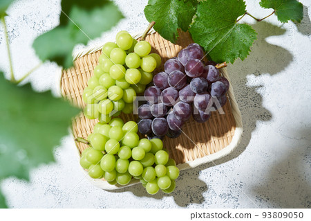 Grape Shine Muscat and Fujiminori Grape Shine Muscat and Fujiminori 93809050