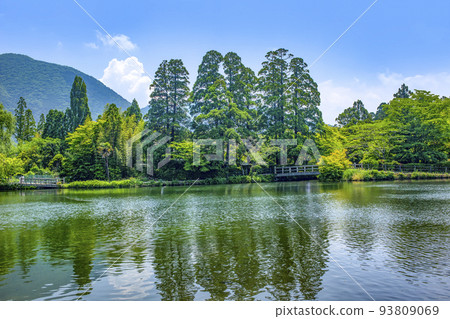 Fresh green Yufuin Kinka Lake 93809069