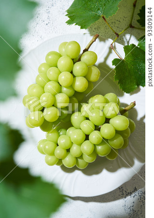 Shine Muscat 93809144