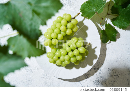 Shine Muscat 93809145