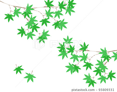 Green autumn leaves left and right branches 93809331