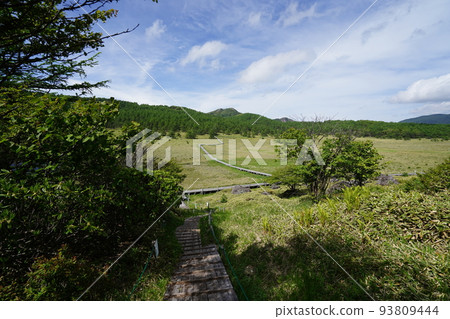 Ikenotaira Marsh, Tomi City, Nagano Prefecture Heading to Ikenotaira Wetland from Mikatagamine June 24, 2022 Ikenotaira Marsh, Tomi City, Nagano Prefecture Heading to Ikenotaira Wetland from Mikatagamine June 24, 2022 93809444