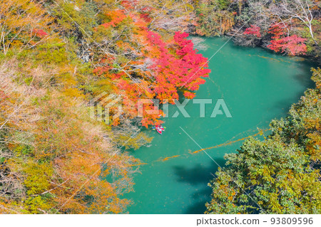 Overlooking Komagata Gorge in autumn 93809596
