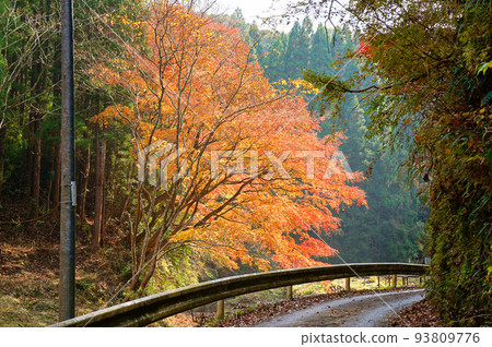 房總親友路漠黑瀑布的紅葉[千葉縣市原市] 93809776