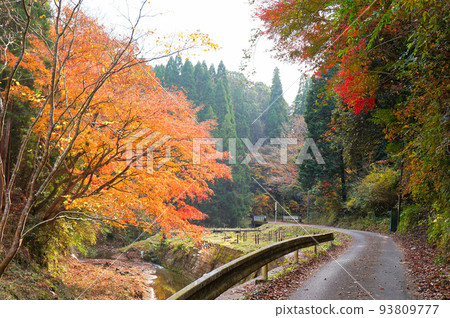房總親友路漠黑瀑布的紅葉[千葉縣市原市] 93809777