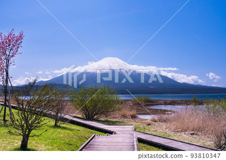 2022年春季水邊木板路上的富士山 93810347