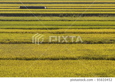 210921 Nyukawabokata g025 210921 Nyukawabokata g025 93810452