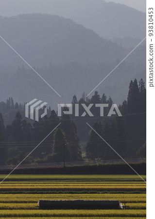 210921 Nyukawabokata g019 93810453