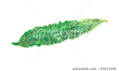 苦瓜的蠟筆插圖 苦瓜的蠟筆插圖 93811998