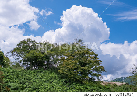 夏季月山通田城遺址的千疊平和太鼓團 夏季月山通田城遺址的千疊平和太鼓團 93812034