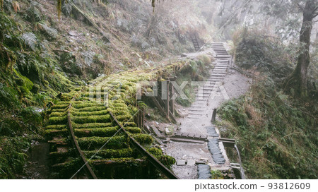 See the sunny trail 93812609
