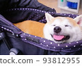 Nap time 93812955