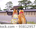 Conversation between Shiba Inu 93812957