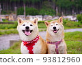 Good friend Shiba Inu 93812960