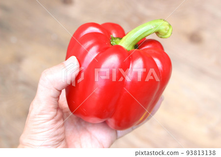 Fresh paprika Fresh paprika 93813138