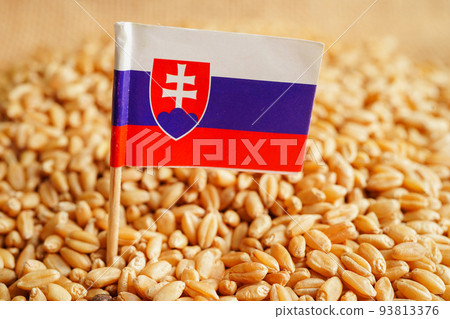 Slovakia on grain wheat, trade export and economy concept. Slovakia on grain wheat, trade export and economy concept. 93813376