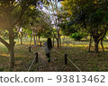 Back view of a girl walking in the woods of the park 93813462