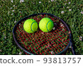 Two tennis balls on a racket on a meadow 93813757