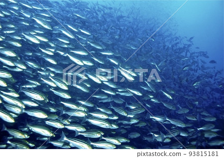 咕嚕咕嚕的牆 咕嚕咕嚕的牆 93815181