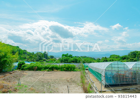 Rural everyday Rural everyday 93815443