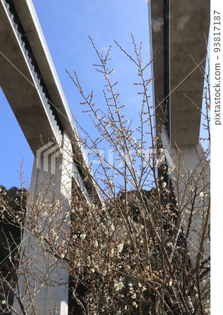 Takao Baigo and the viaduct of the Chuo Expressway 93817187