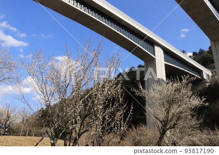 Takao Baigo and the viaduct of the Chuo Expressway 93817190