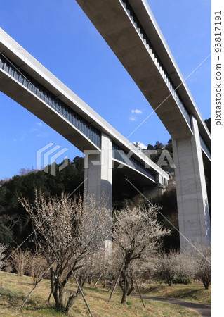 Takao Baigo and the viaduct of the Chuo Expressway 93817191