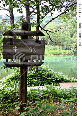 萬座牛池 93817573