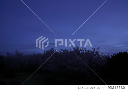 "Okayama Prefecture" Setonaikai National Park Dawn seen from Mt. 93818580