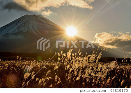 Oyama