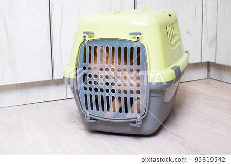 Red cat in a plastic carrier closeup Red cat in a plastic carrier closeup 93819542