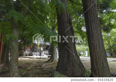 多賀城市陸奧總社神越 93819820