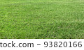Green grass textures 93820166