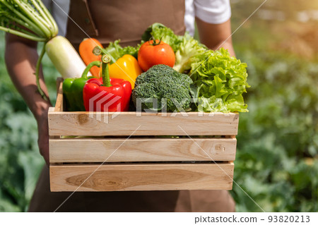Farmer man holding wooden box full of fresh raw vegetables. Basket with fresh organic vegetable and peppers in the hands.. Farmer man holding wooden box full of fresh raw vegetables. Basket with fresh organic vegetable and peppers in the hands.. 93820213