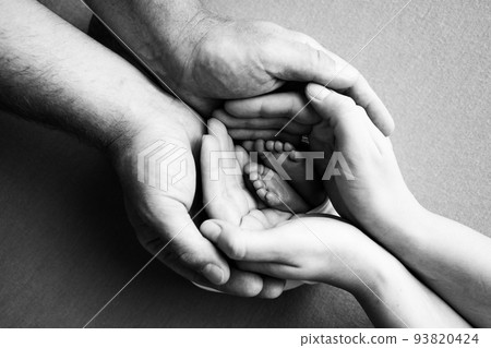 The palms of the parents. A father and mother hold the feet of a newborn child. The feet of a newborn in the hands of parents. Photo of foot, heels and toes. Black and white. 93820424